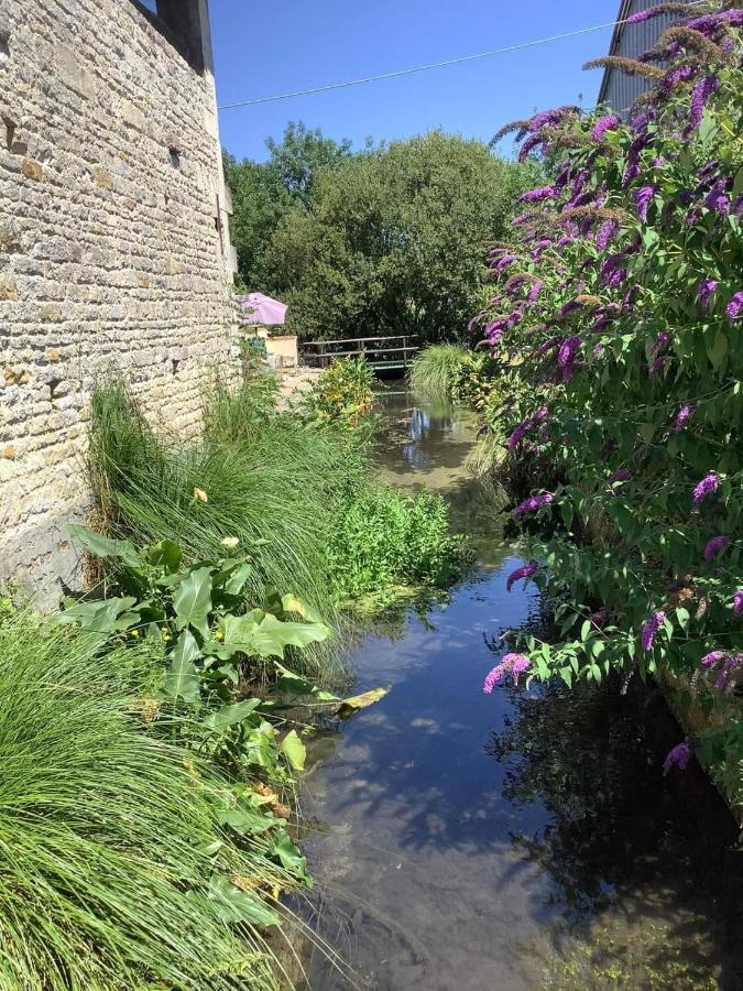 Les Cygnes Noirs Aujac (Charente-Maritime) Exterior foto