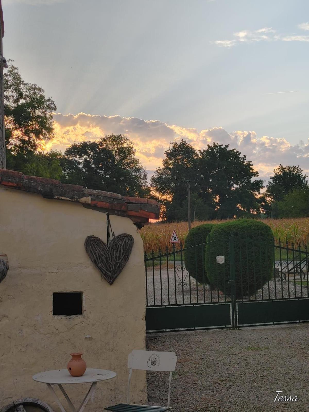 Les Cygnes Noirs Aujac (Charente-Maritime) Exterior foto