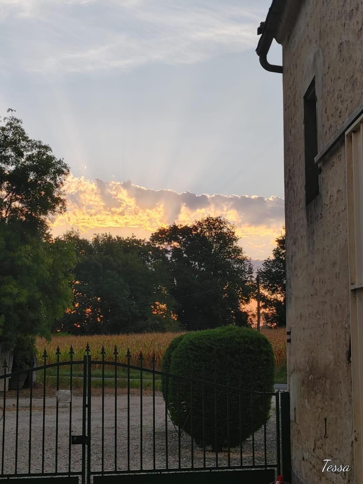 Les Cygnes Noirs Aujac (Charente-Maritime) Exterior foto
