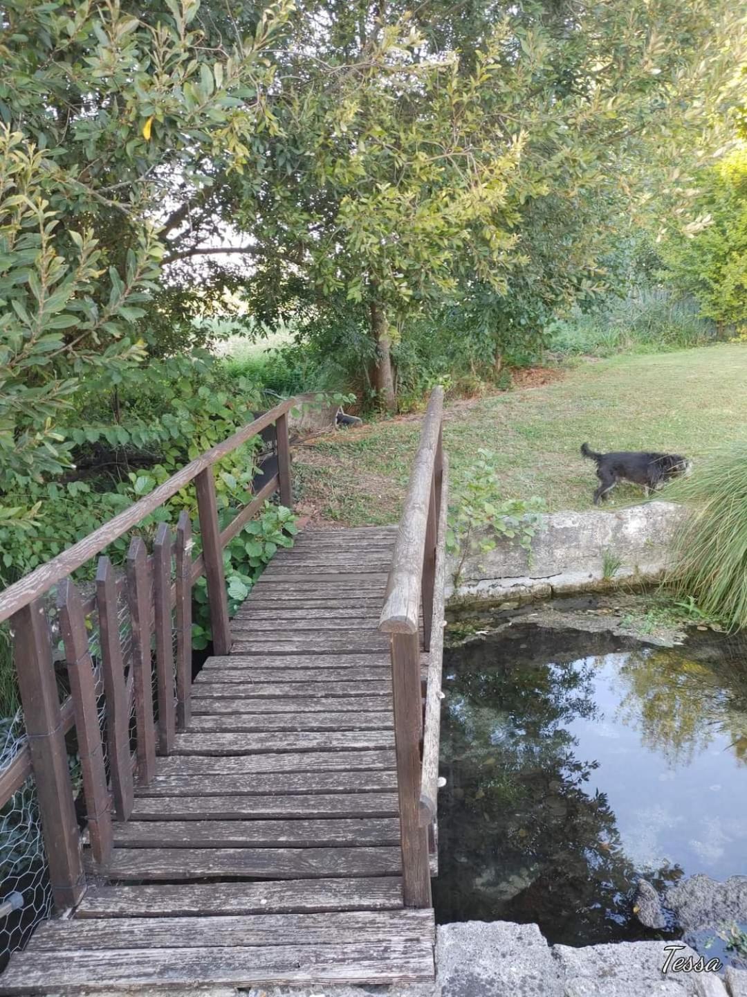 Les Cygnes Noirs Aujac (Charente-Maritime) Exterior foto